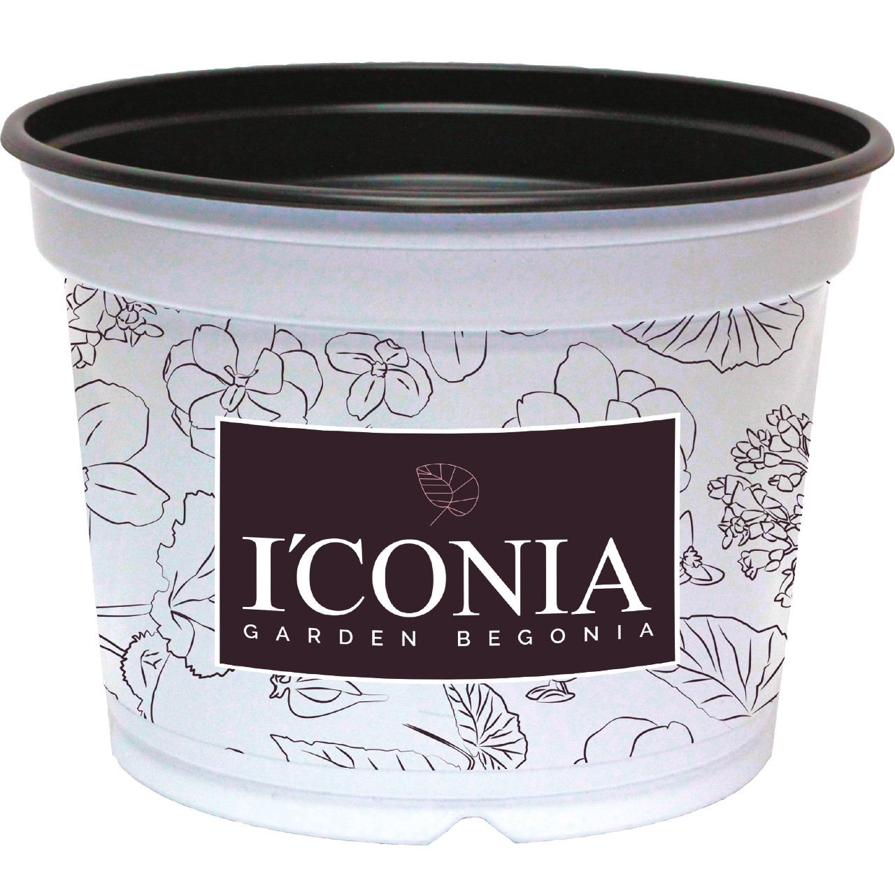 Pot&nbsp; ICONIA 12cm