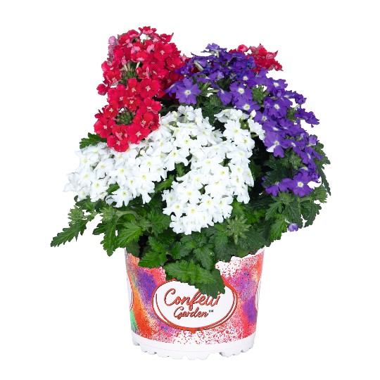 Confetti Garden® Linda Liberty 2026