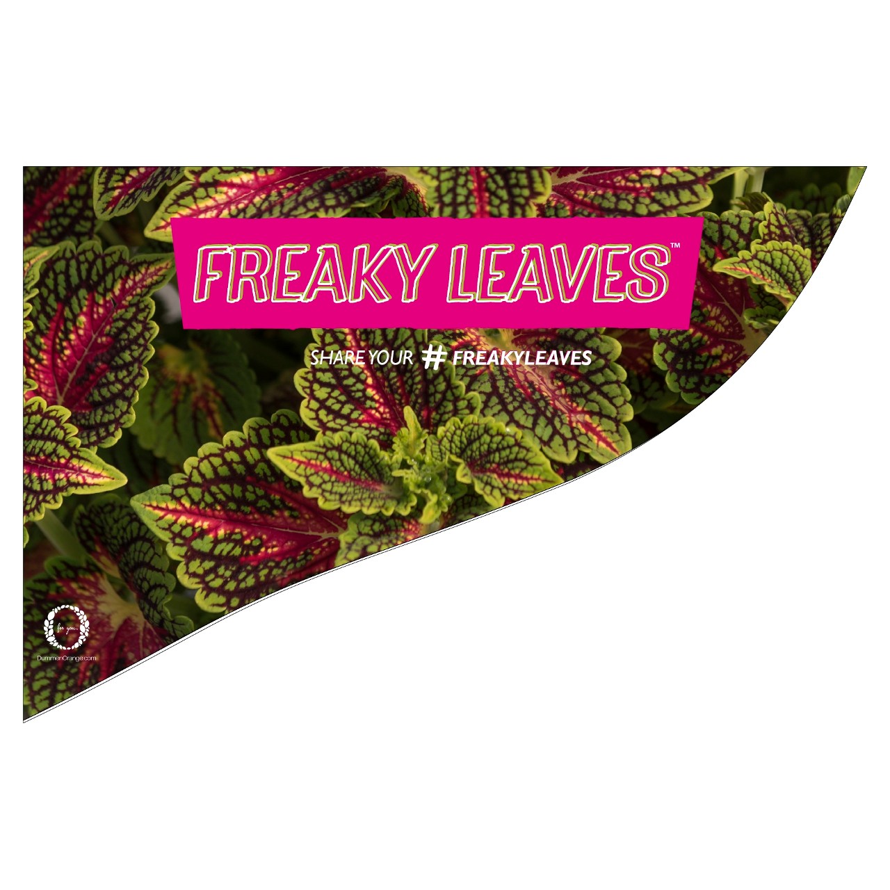 CC-Banner Freaky Leaves 50x35 cm