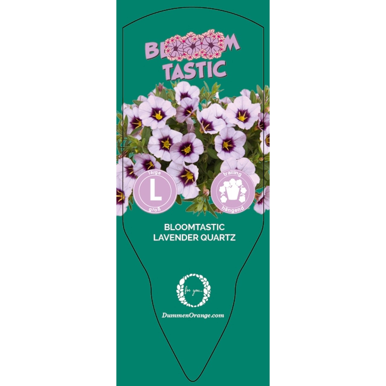 Bloomtastic Lavender Quartz