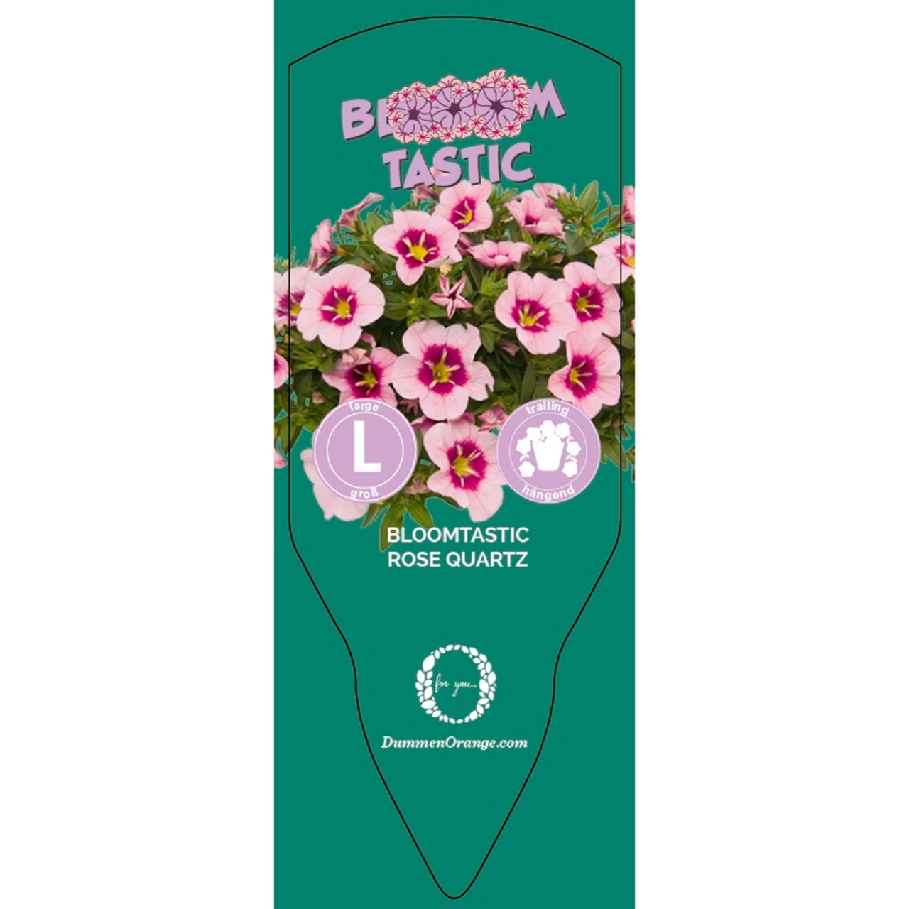 Bloomtastic Rose Quartz