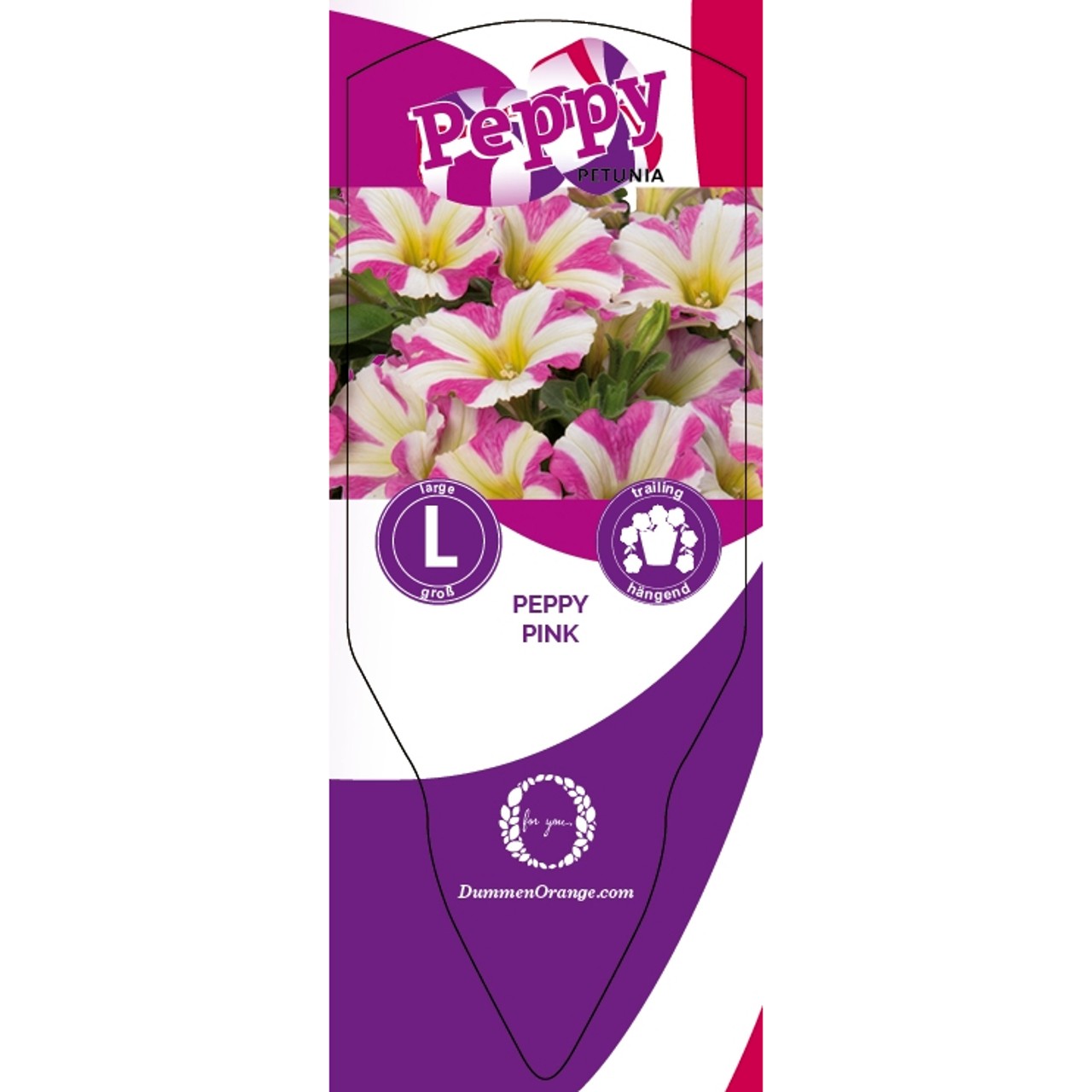 Tag Peppy Pink