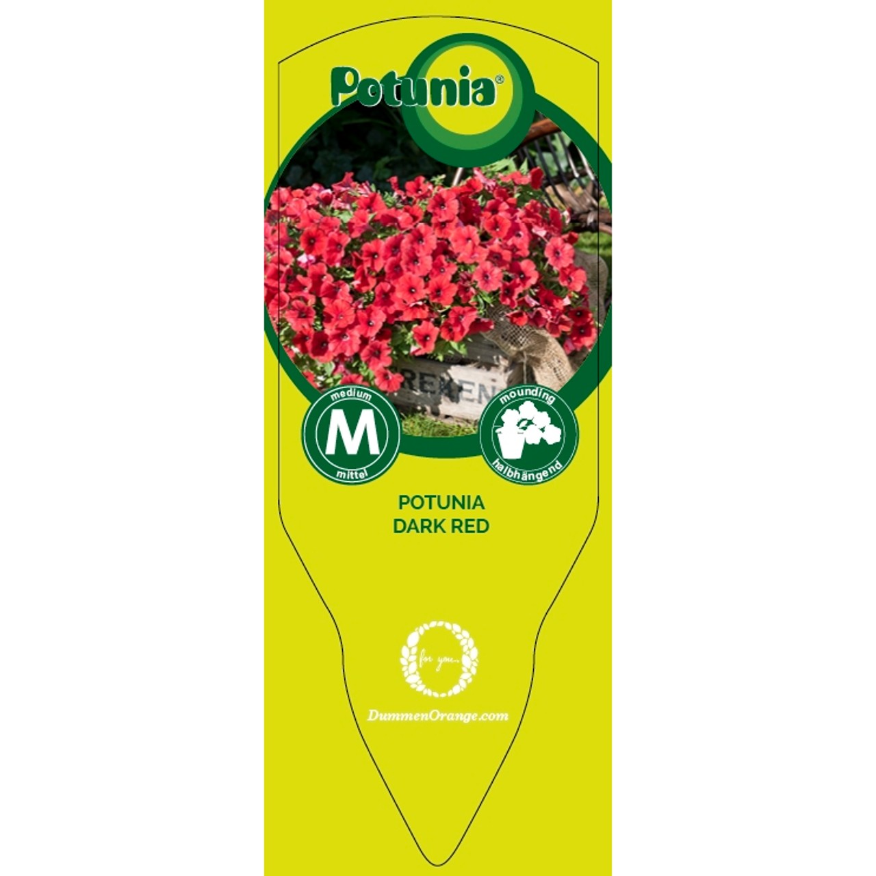 Tag Potunia Dark Red