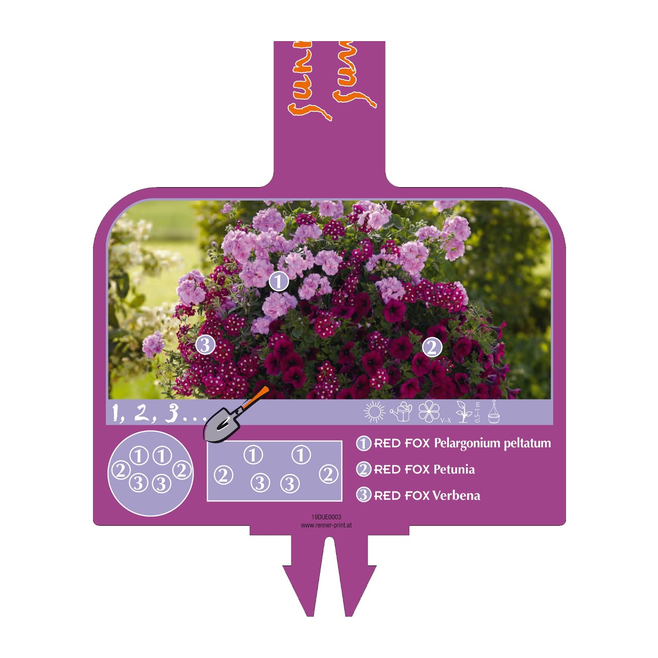 Handle 1,2,3 sunny summer purple (75cm)