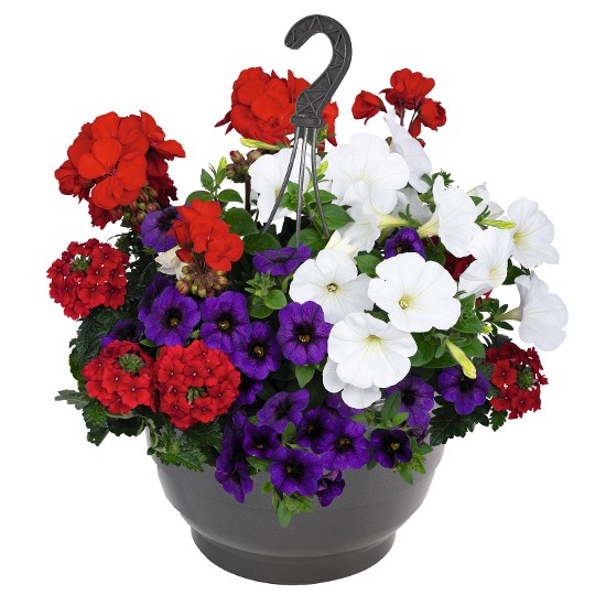 Confetti Garden® Party Red Blue White 2027