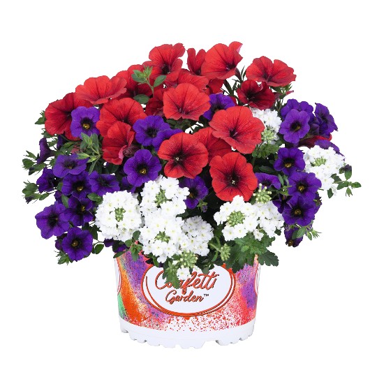 Confetti Garden® Liberty