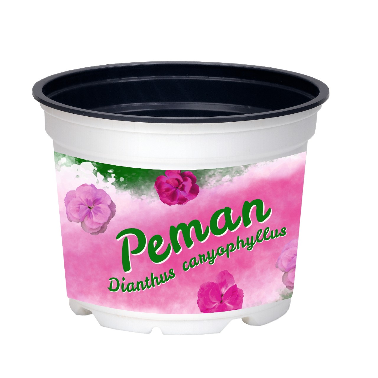 Pot Peman 12 cm