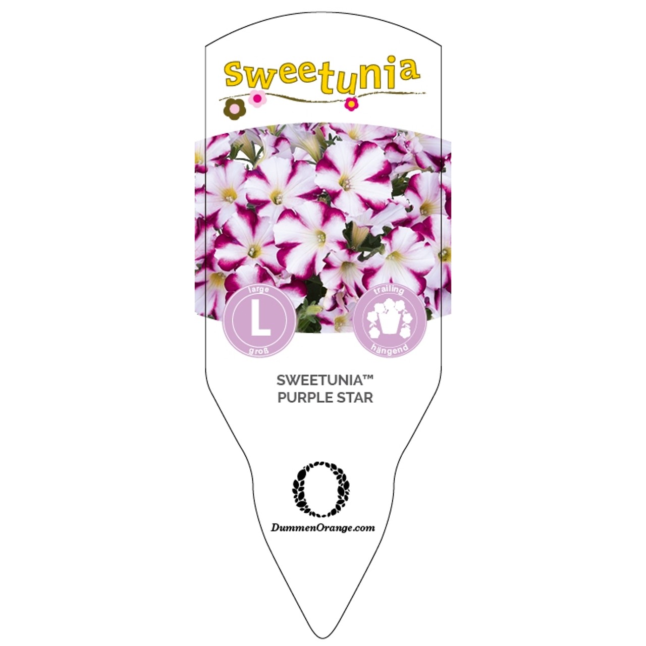 Tag Sweetunia™Purple Star