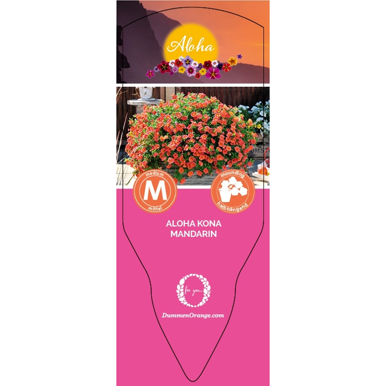 Tag Aloha Kona Mandarin