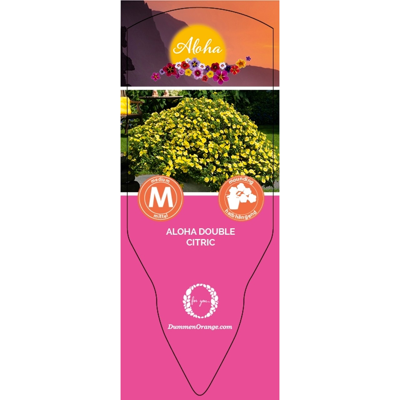 Tag Aloha Double Citric