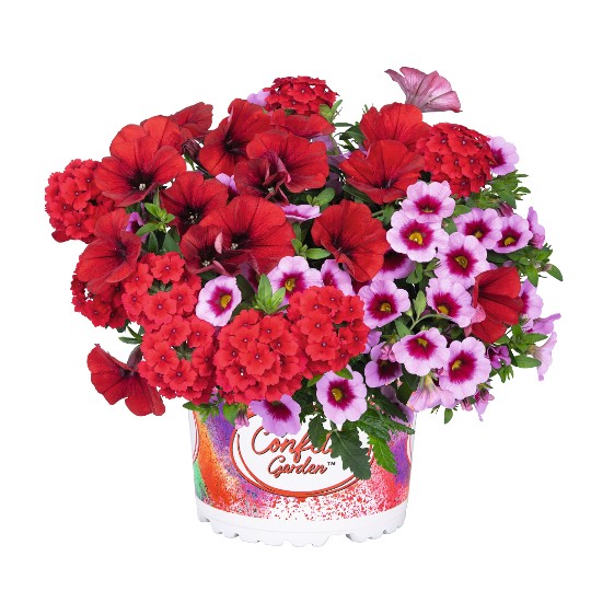 Confetti Garden® Rockin´ Red