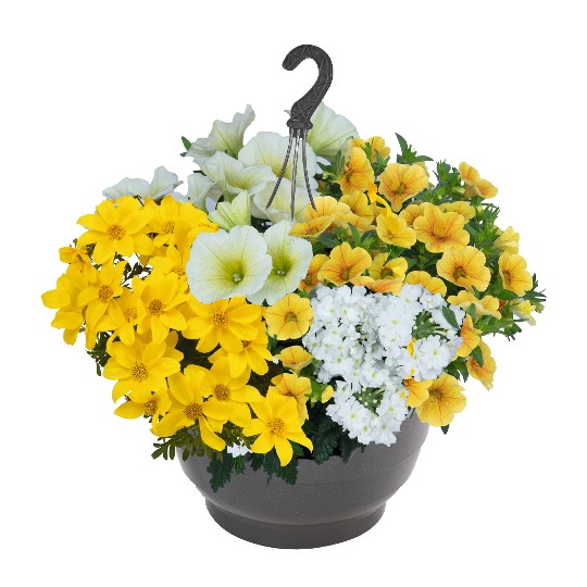 Confetti Garden® Party Sunshine