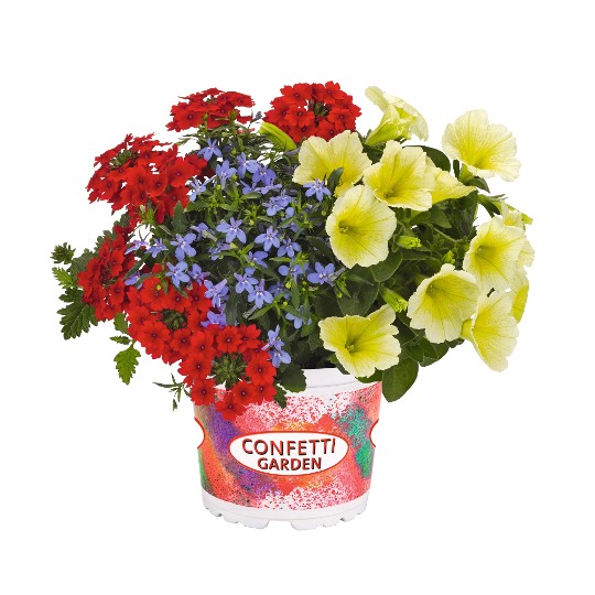 Confetti Garden® Water Colours 2027
