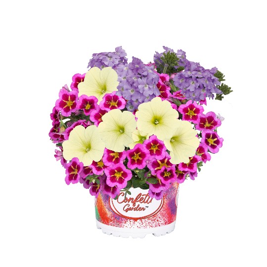 Confetti Garden® Pacific Islands