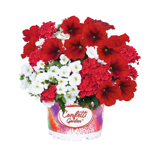 Confetti Garden® Strawberry