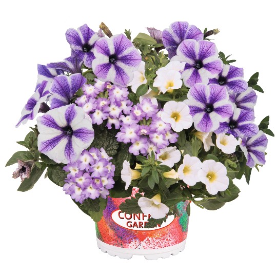Confetti Garden® Blue Bird