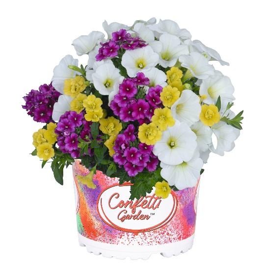 Confetti Garden® Patriot