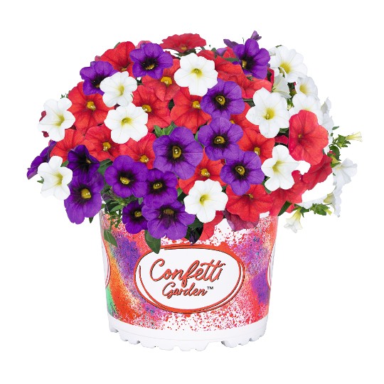 Confetti Garden® Hawaiian Country