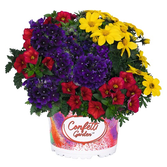 Confetti Garden® Patchwork 2027