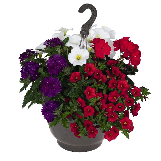 Confetti Garden® Party Red Blue White 2027