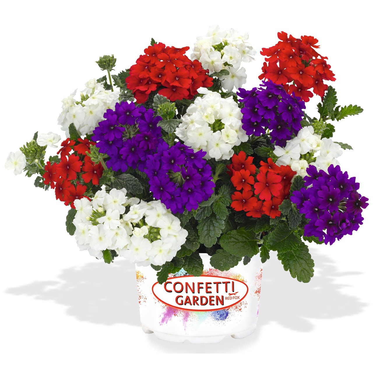 Confetti Garden® Liberty Products Dümmen Orange