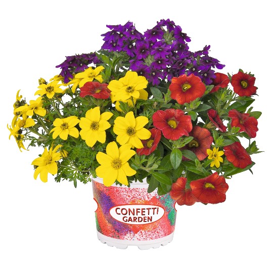 Confetti Garden® Patchwork