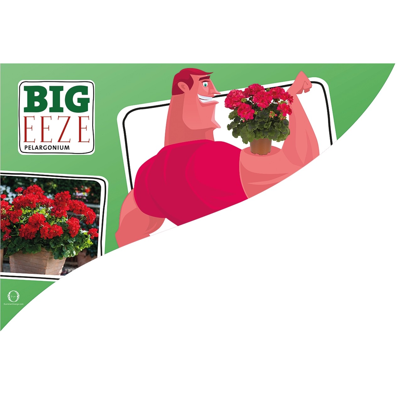 CC-Banner Big Eeze 50x35 cm