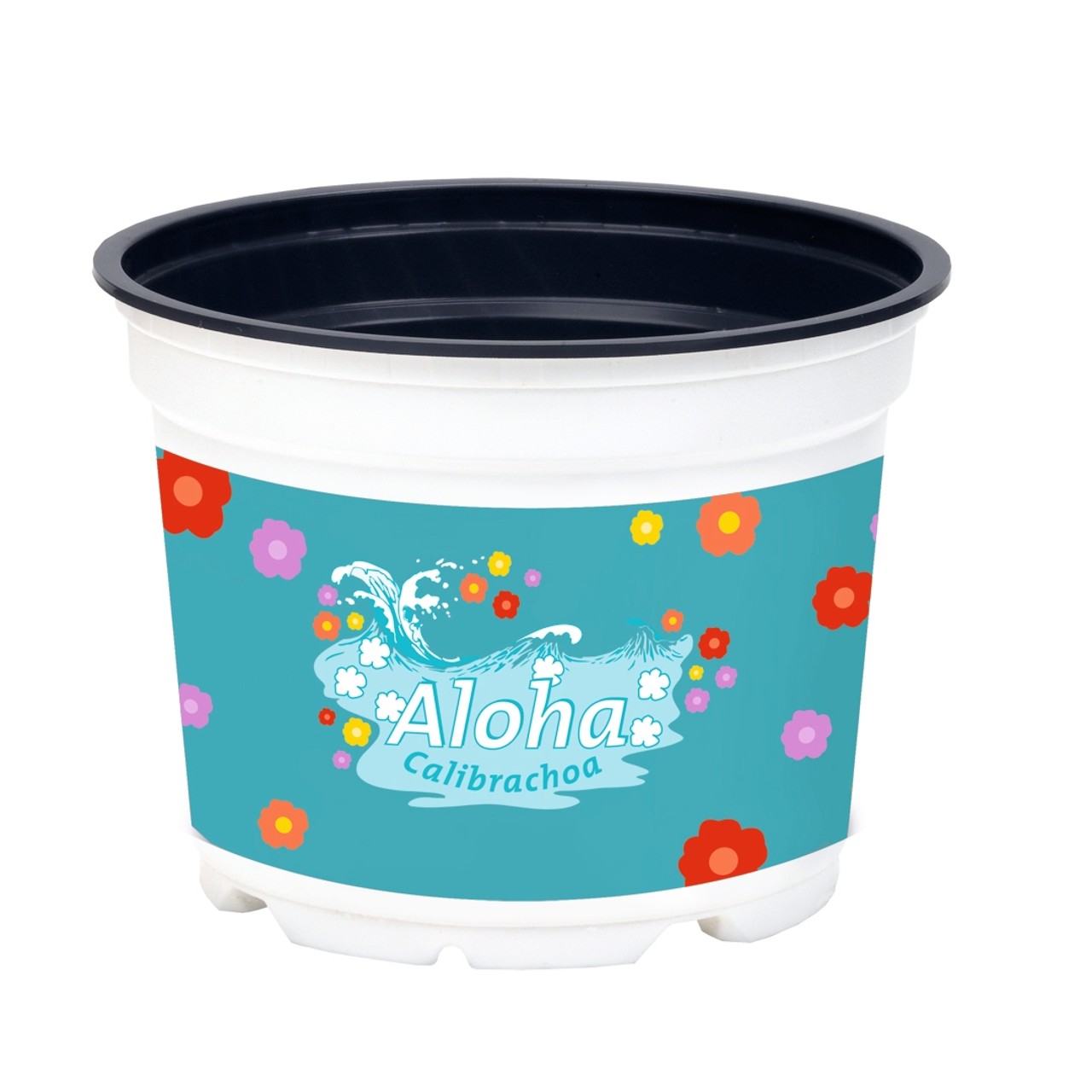 Pot 12 cm Aloha