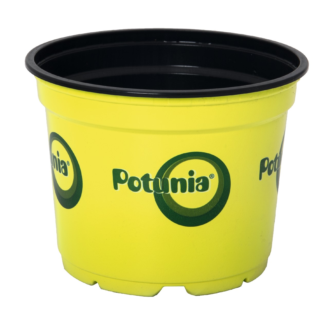 Pot 12 cm Potunia